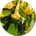 Arjan Visser profielfoto